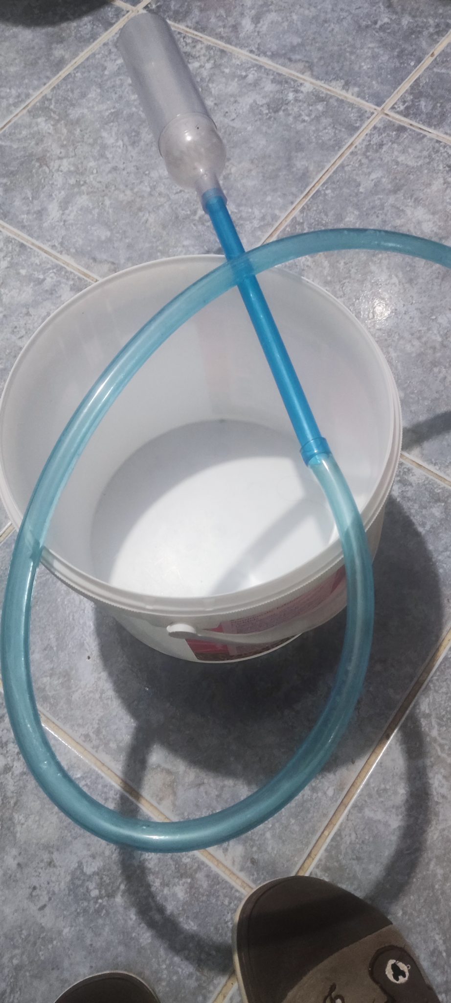 Where Do You Put Dirty Fish Tank Water? Recycle with Care